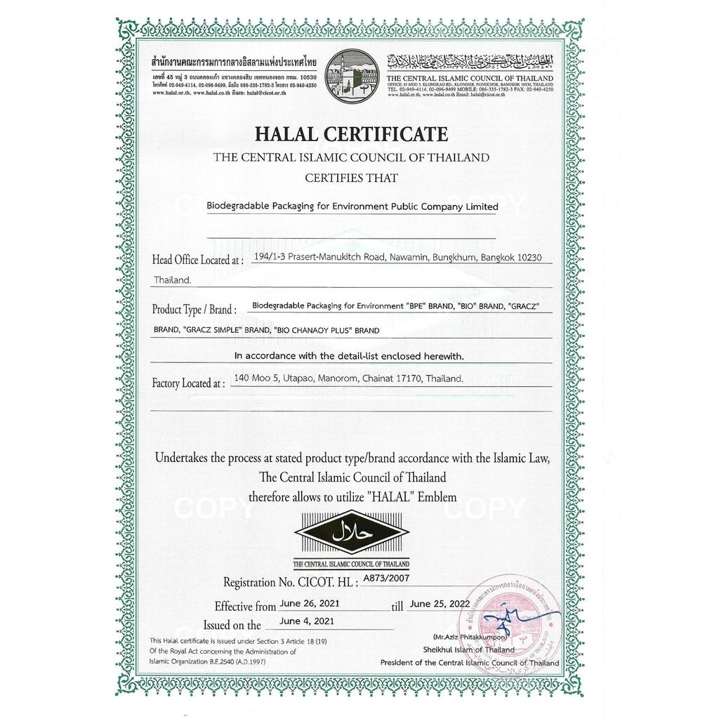 Đĩa bã mía 3 ngăn - 10 in - 261mm - Tiện lơi, thân thiện với môi trường