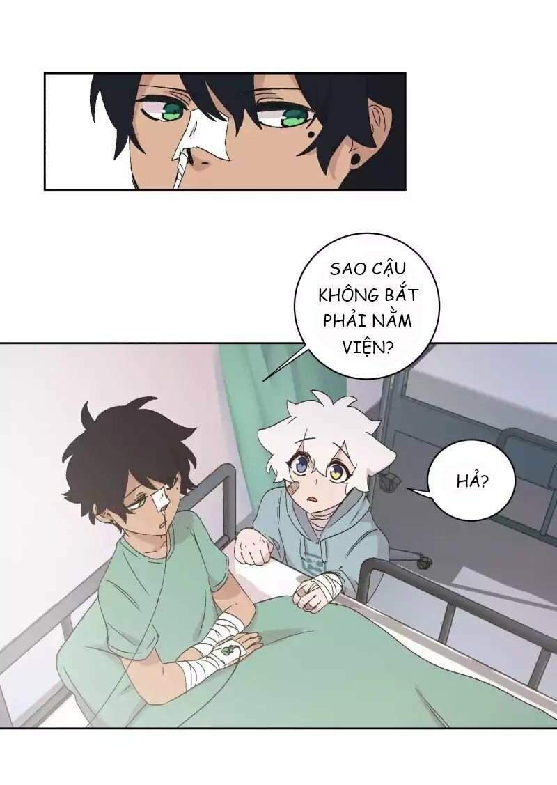 lumine - cội nguồn ánh sáng chapter 31 19