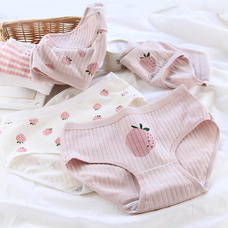 Quần lót cotton quả dâu cute co dãn 4 chiều được chọn màu chọn mẫu Q4