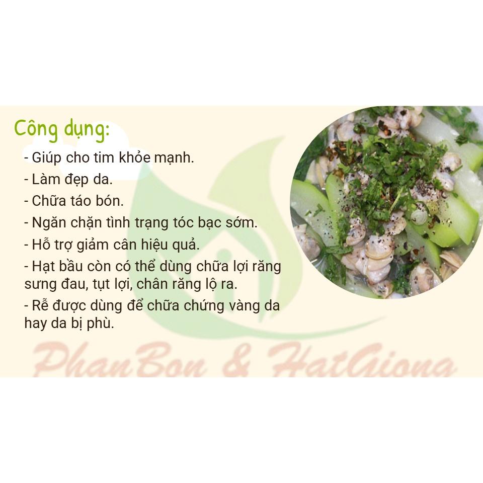 Hạt Giống Bầu Lai King F1 Sai Trái, Dễ Trồng - Phú Nông Seeds - Shop Phân Bón và Hạt Giống