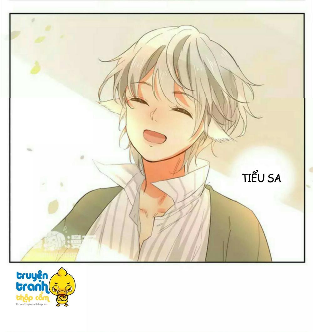 cứu mạng ! loài mèo thống trị thế giới rồi ! chapter 39 11