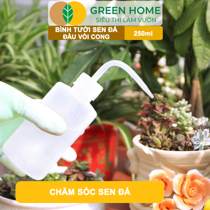 Bình Tưới Cây GreenHome, Vòi Cong 250ml, Phù Hợp Cho Sen Đá, Xương Rồng, Màu Sắc Ngẫu Nhiên