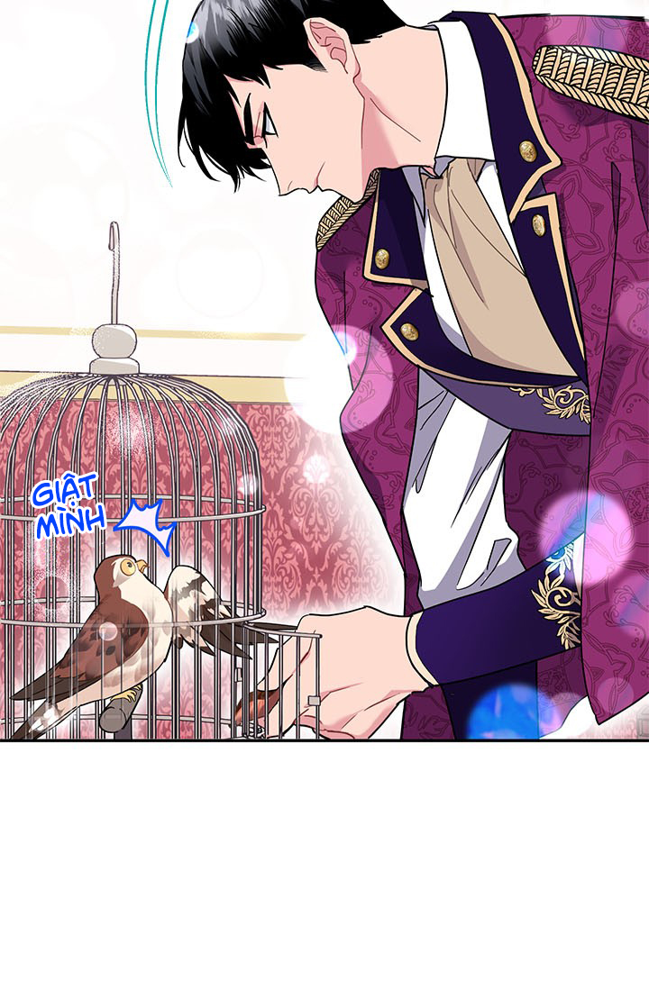 công chúa của loài chim chapter 14 6