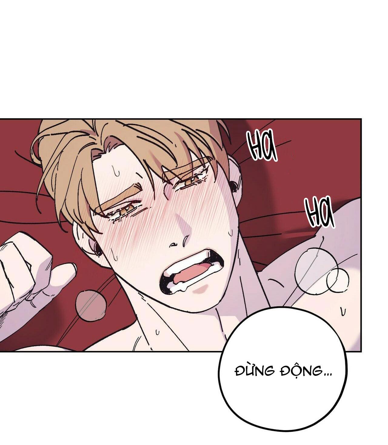 làm dâu nhà tài phiệt họ kang chapter 29 33