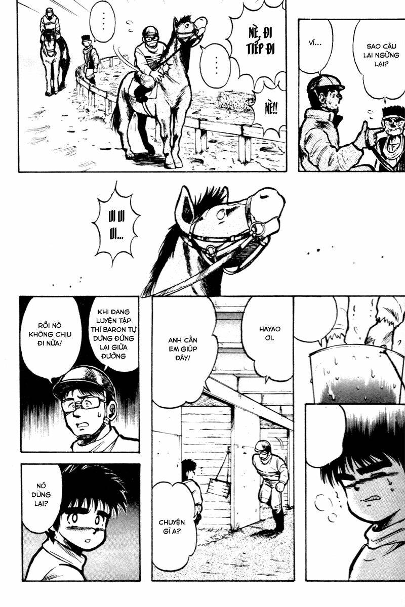 kaze no sylphid - phong mã silphid chapter 3 8