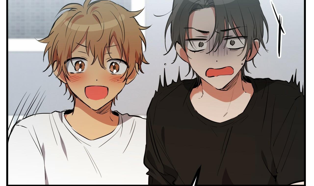 những chú thỏ của hapypy chapter 51 167