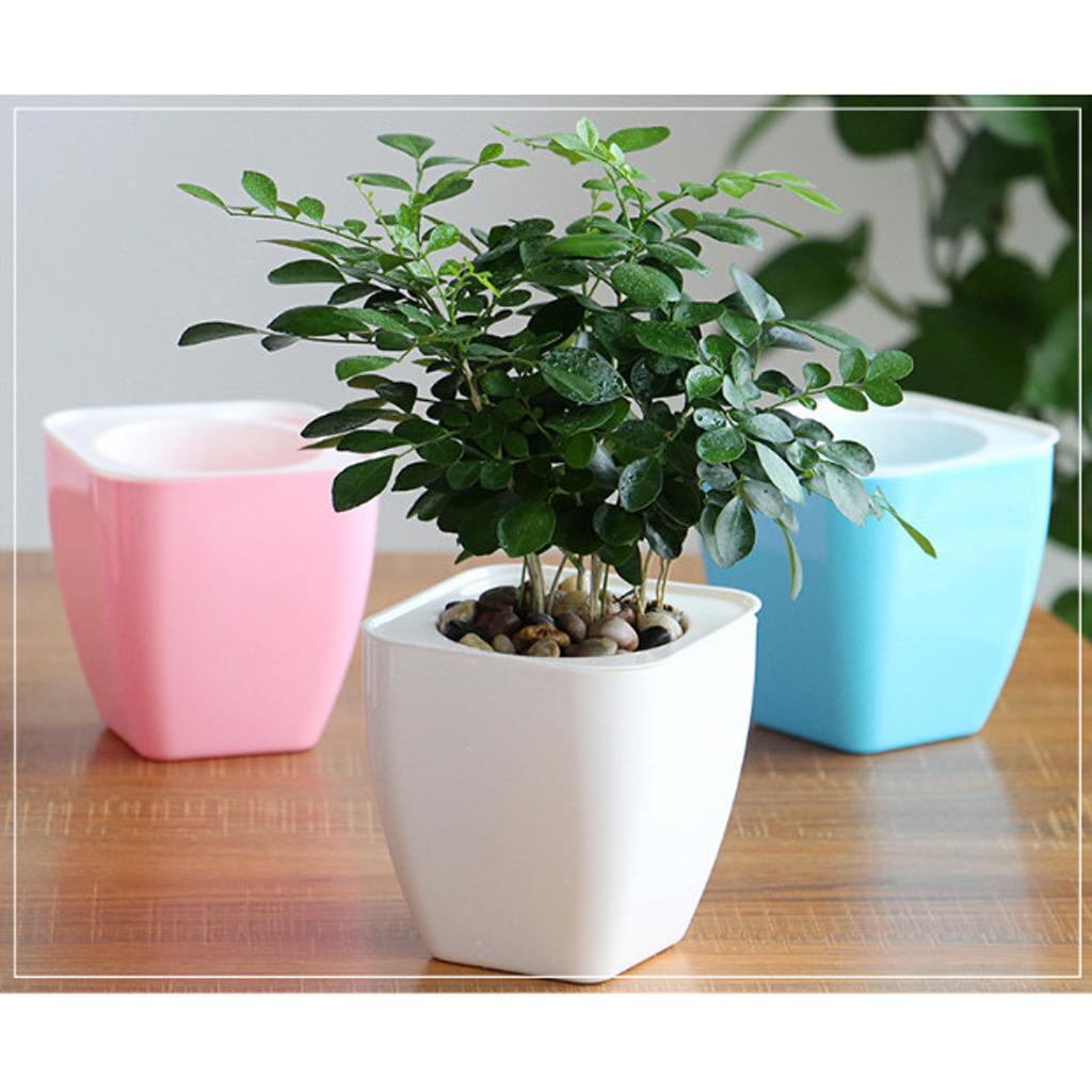 Garden Self-watering Plant Flower Pot Planter Succulent Box