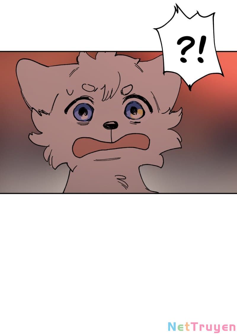 lumine - cội nguồn ánh sáng chapter 113 19