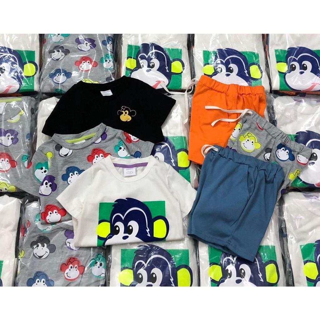 SET 3 BỘ ĐÙI BÉ TRAI CHÚ KHỈ