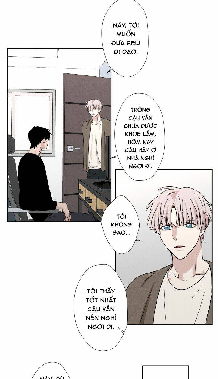 trốn tìm chapter 9 27