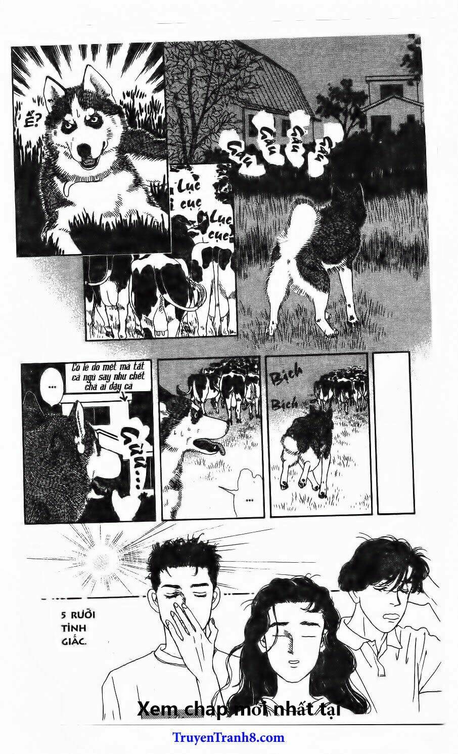 doubutsu no oishasan chapter 112 10