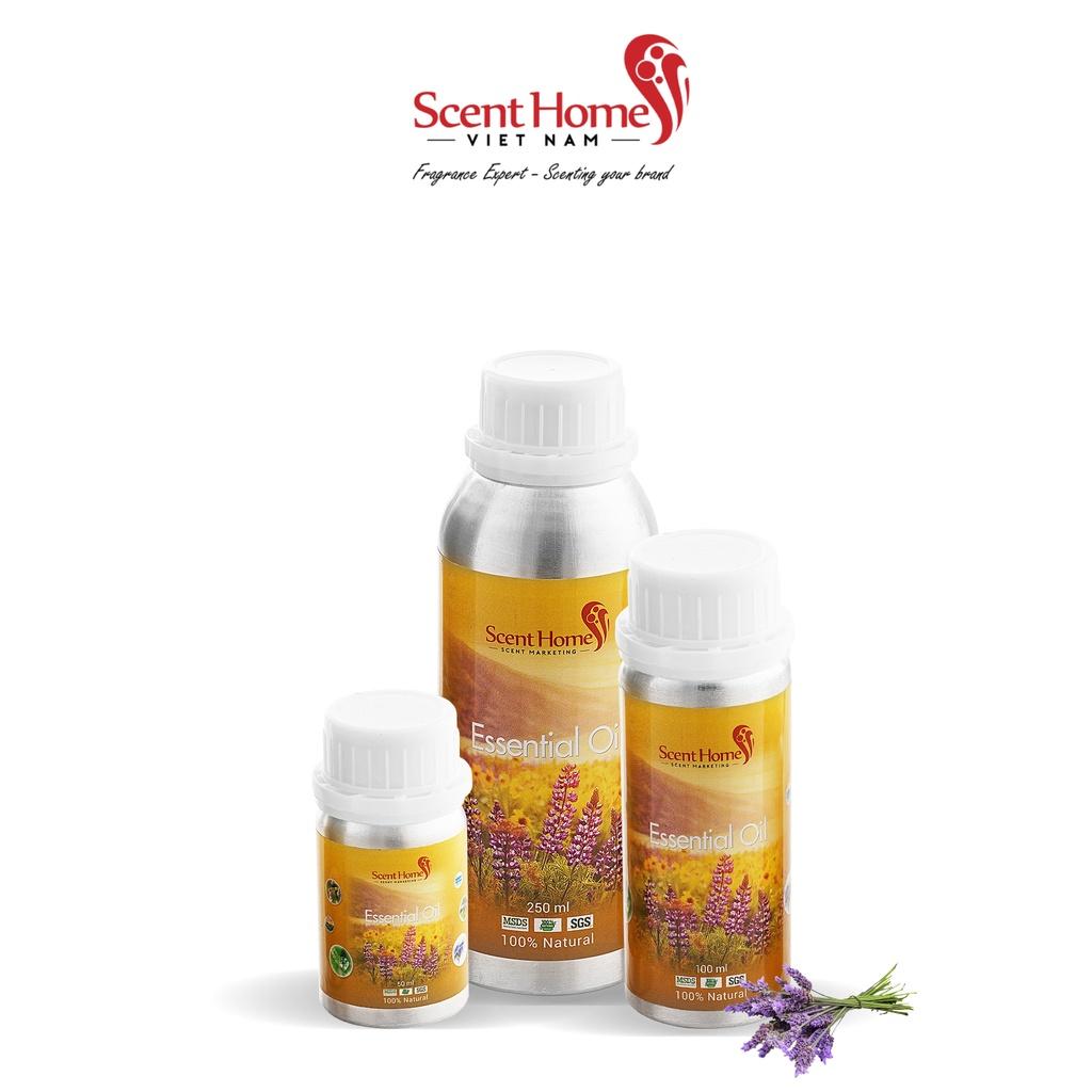Tinh dầu Scent Homes - mùi hương (Lavender UK)