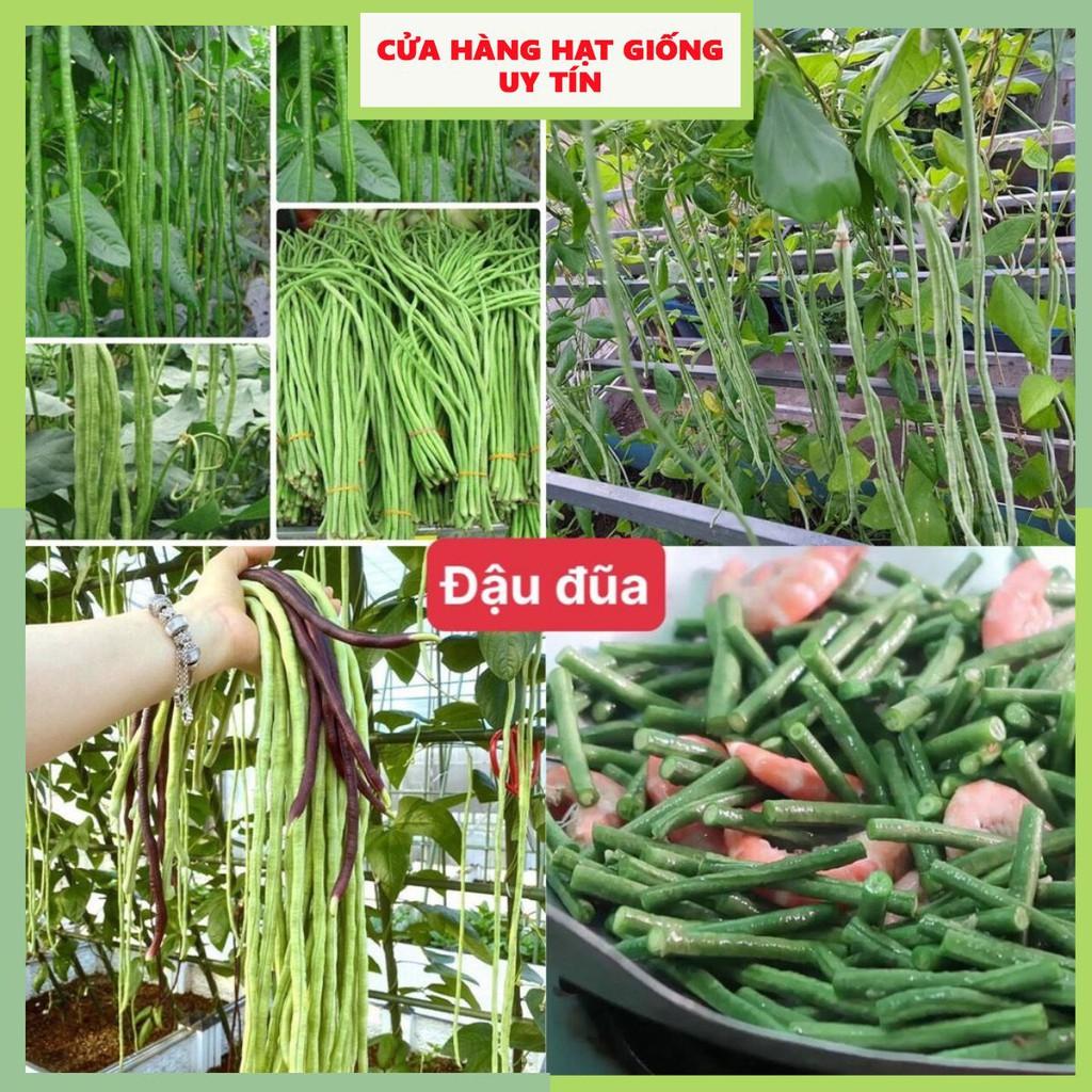 Hạt Giống Đậu Đũa F1 Loại Siêu Dễ Trồng, Dễ Thu Hoạch Tặng Kèm Hướng Dẫn Trồng | Tiki