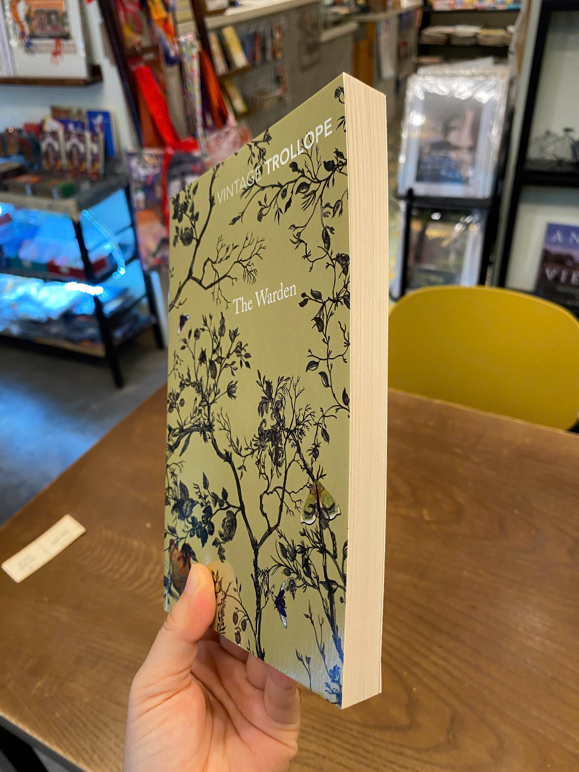 Sách - The Warden (Vintage Classics) by Anthony Trollope | Classics Historical Fiction