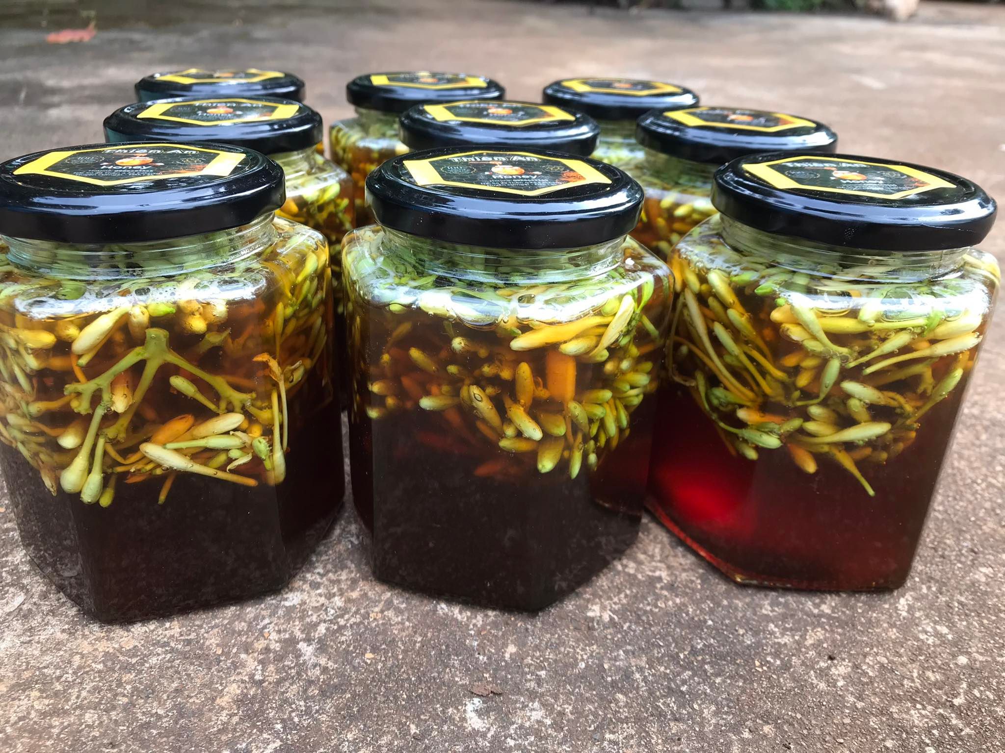 Gừng Sẻ ngâm Mật Ong Rừng Đaklak- Hũ Thủy Tinh 500ml