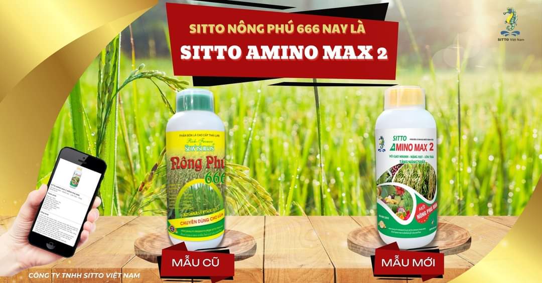 Nông Phú 666 vào gạo siêu nhanh, Amino Max 2 chai 500ml