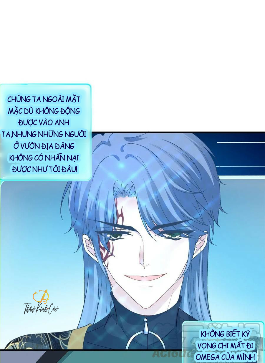 kiểm soát tuyệt đối chapter 79 8