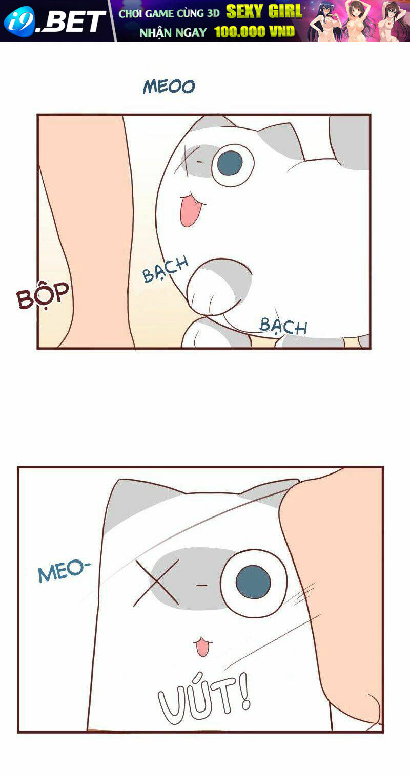 saphie: chú mèo một mắt chapter 6 9