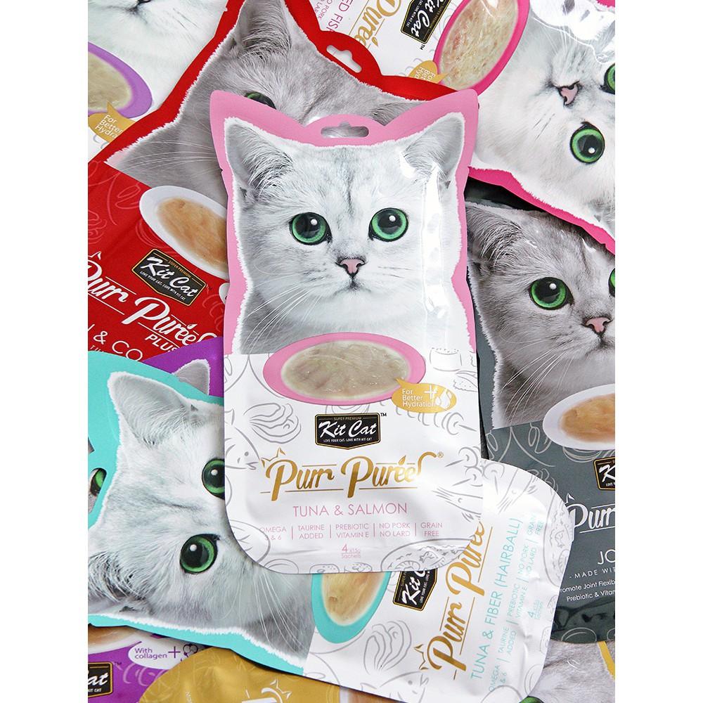 ́ ̛̛̉ KITCAT cho Mèo ̣ ̛̀ ̛̛ ̣̂ chưa bao giờ hết HOT