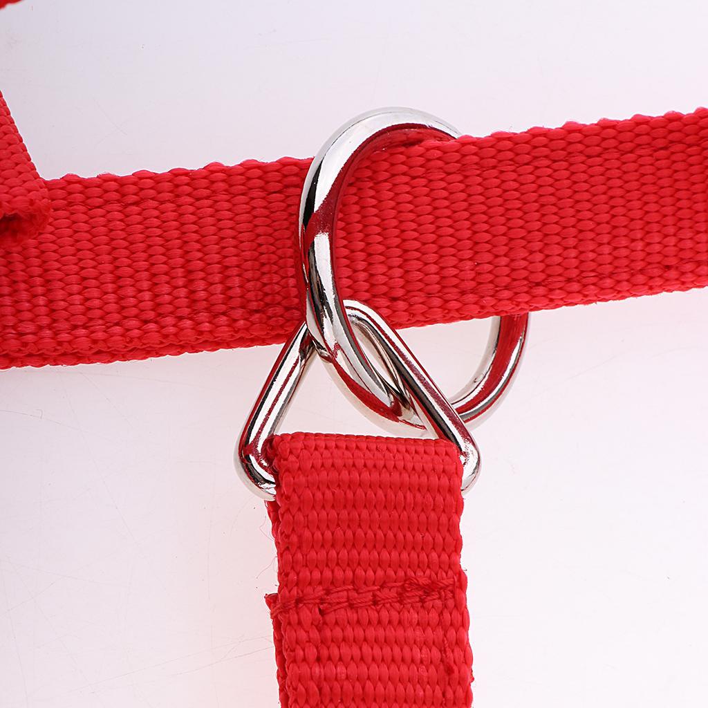 Adjustable Nylon Webbing Equestrian Western Horse Halter Horse Riding Wear