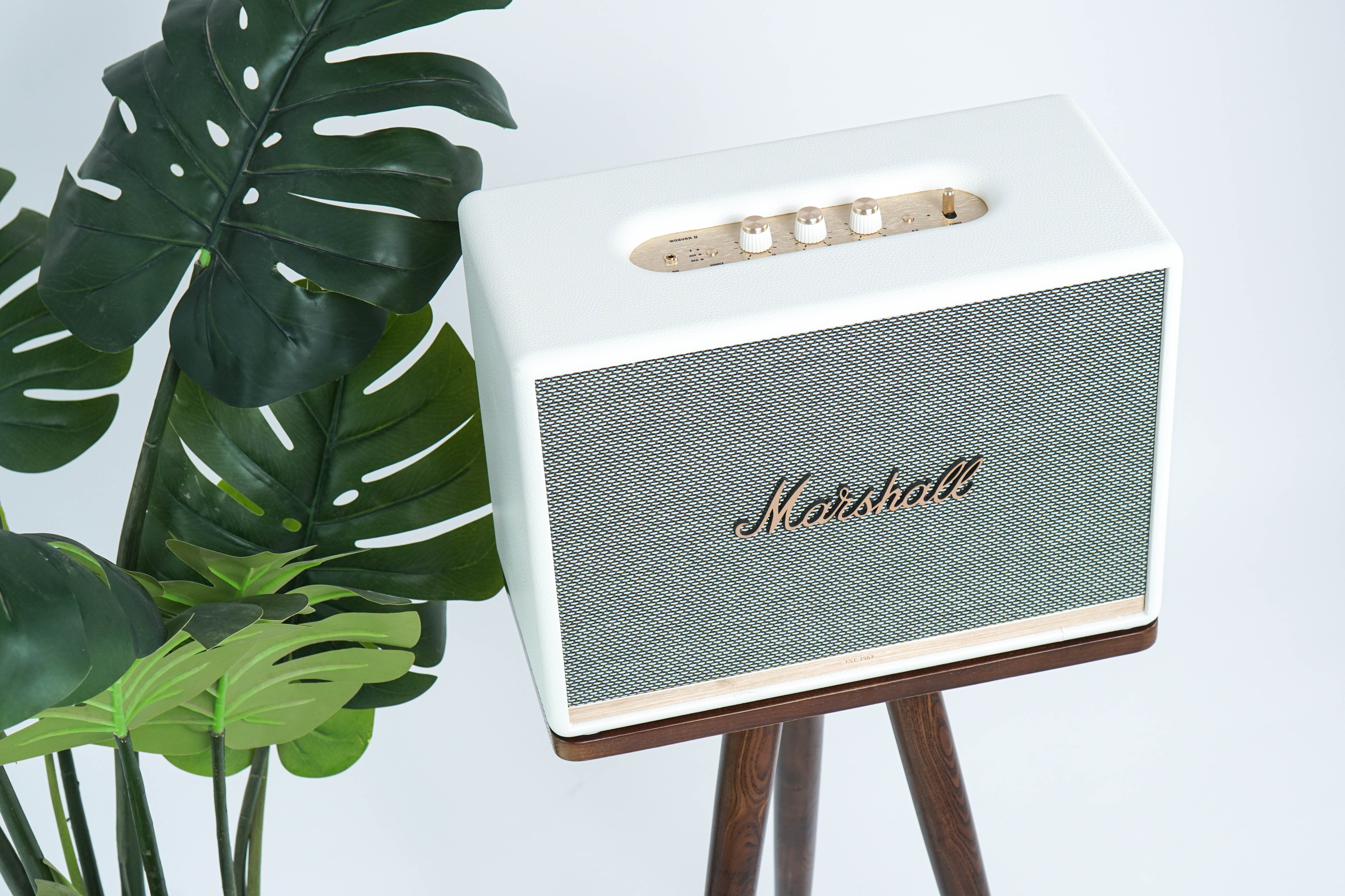 Chân loa Marshall Hyperwork Kaiser gỗ Tần Bì - Hàng Chính Hãng