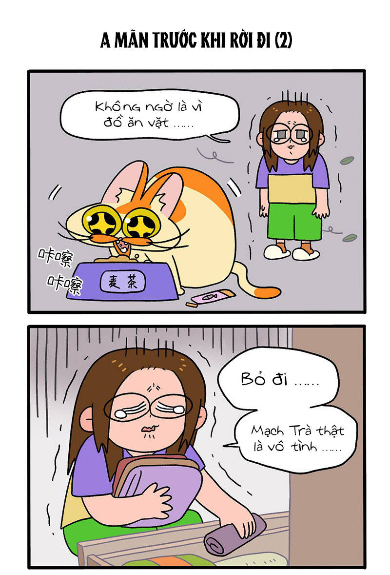 a mãn và mạch trà chapter 34 3