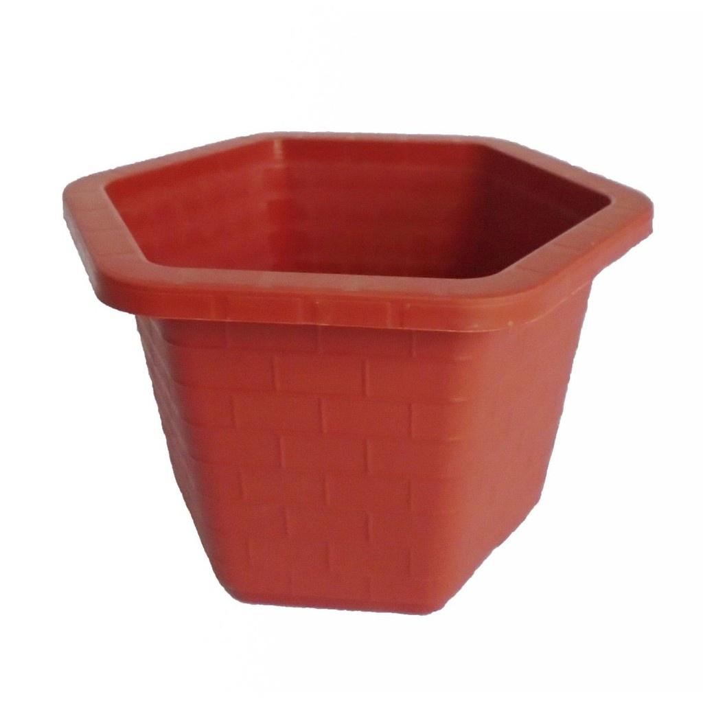 Compo 5 chậu lục giác FA 520