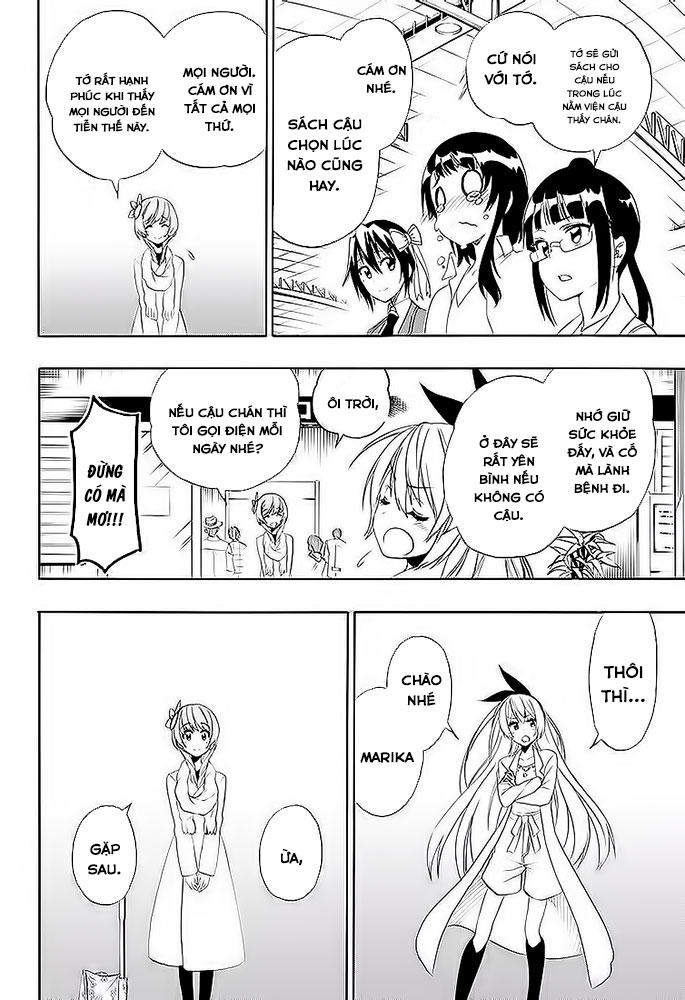nisekoi - tình yêu giả tạo chapter 195 4