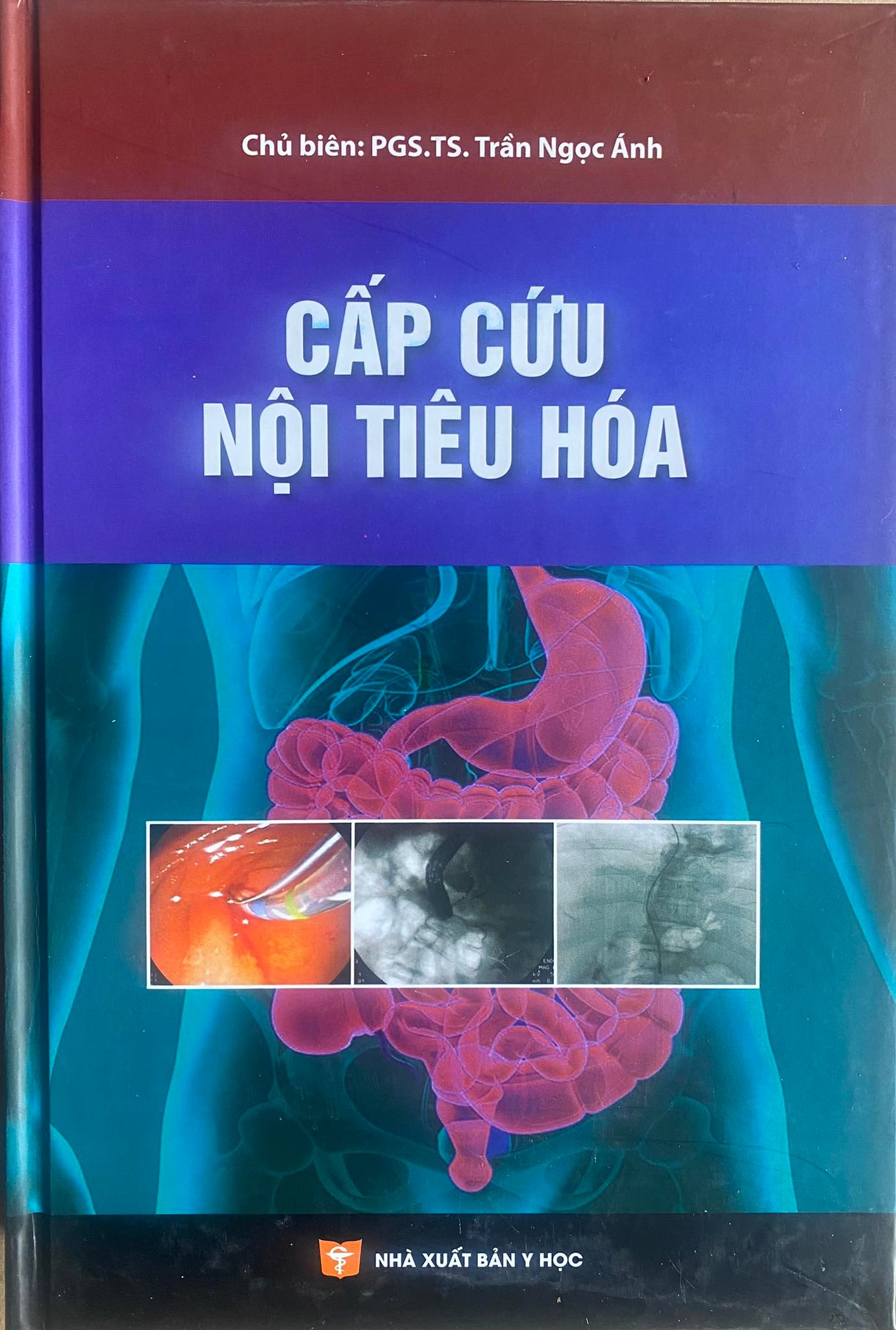 Sách -  Cấp cứu Nội tiêu hoá (Tác giả PGS.TS.Trần Ngọc Ánh)