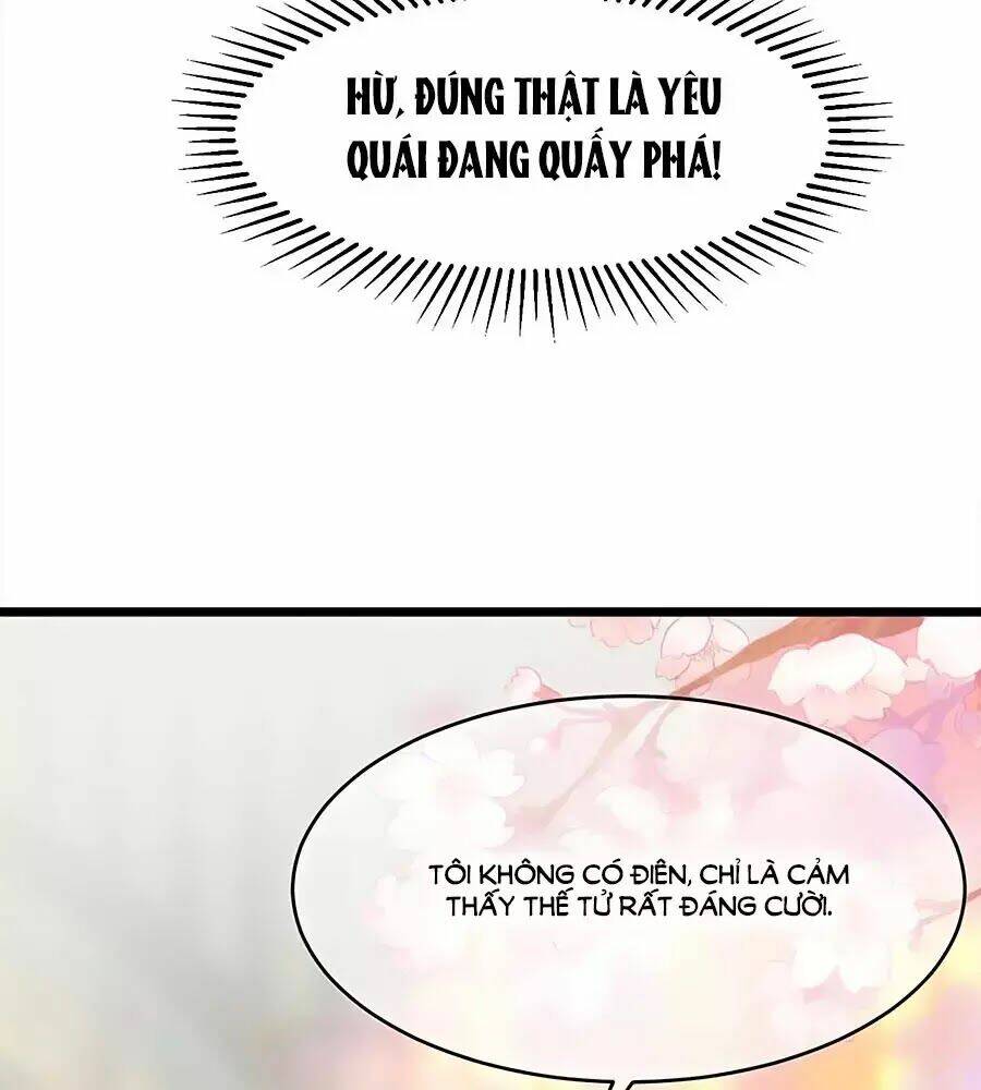 quyền phi chi đế y phong hoa chapter 1.1 38