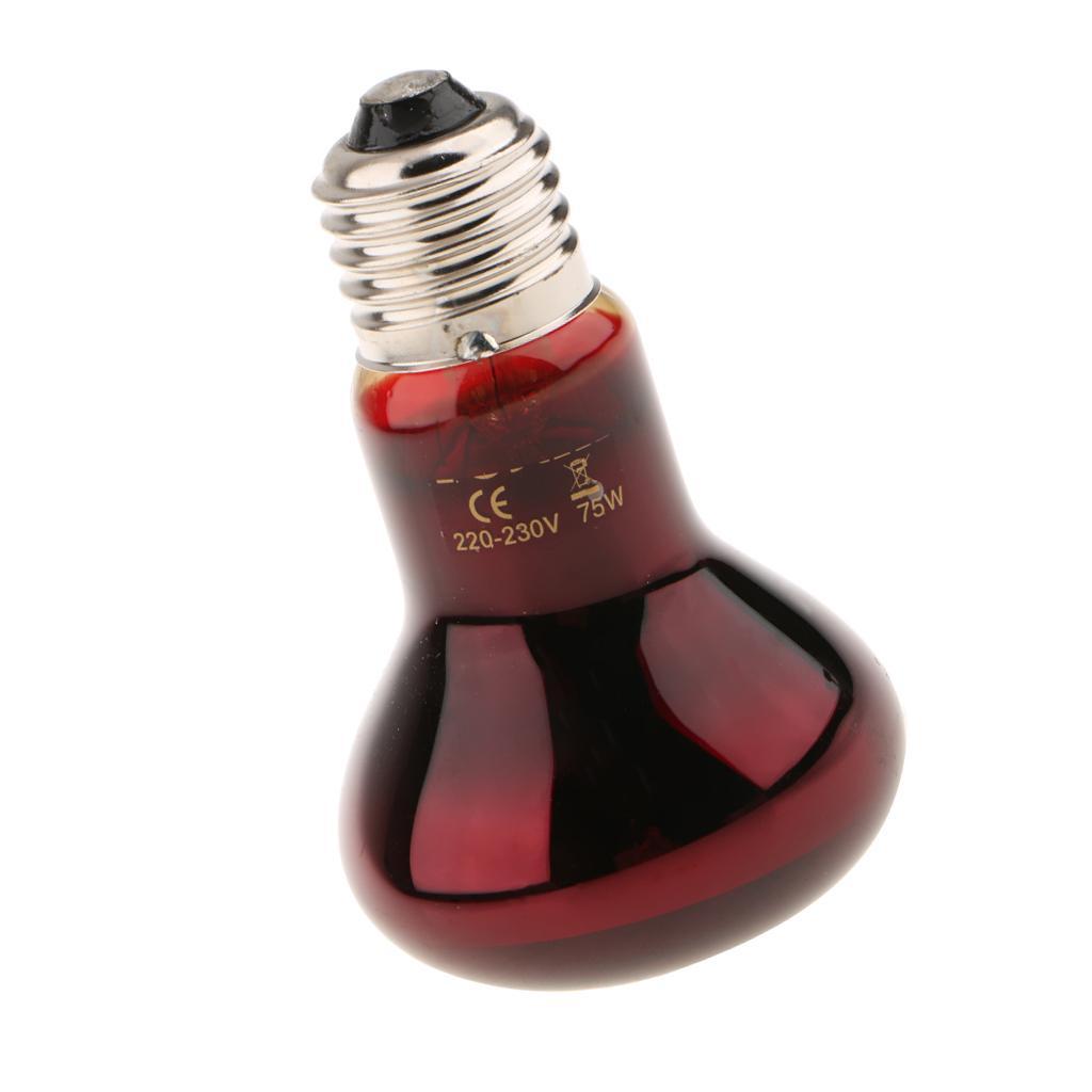 3x Reptile Nightlight Heat Lamp E27 Base UVA Night View Heat Light Bulb 75W