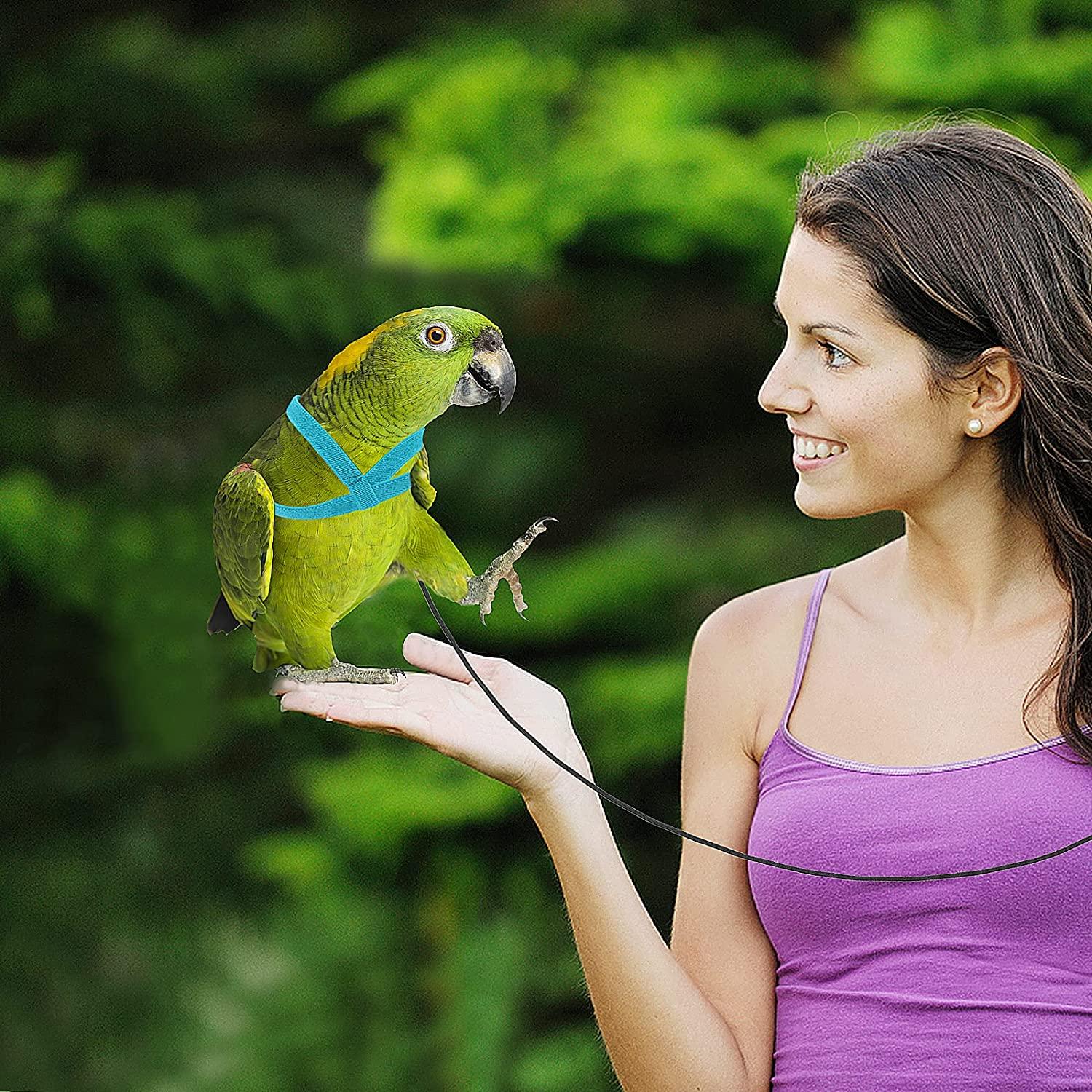 Có Thể Điều Chỉnh Vẹt Tập Bay Dây Cho Vẹt Dây Nylon Chim Dây Và Dây Xích Bộ Chim