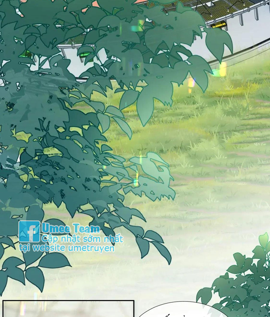 xin hãy ly hôn chapter 97 39