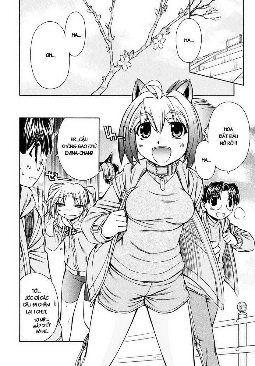 inumimi chapter 17 20