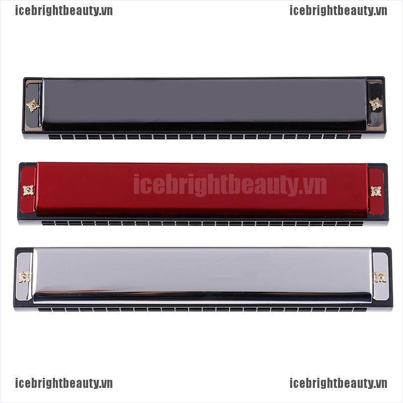 Kèn Harmonica 24 lỗ cho người mới bắt đầu tiện lợi