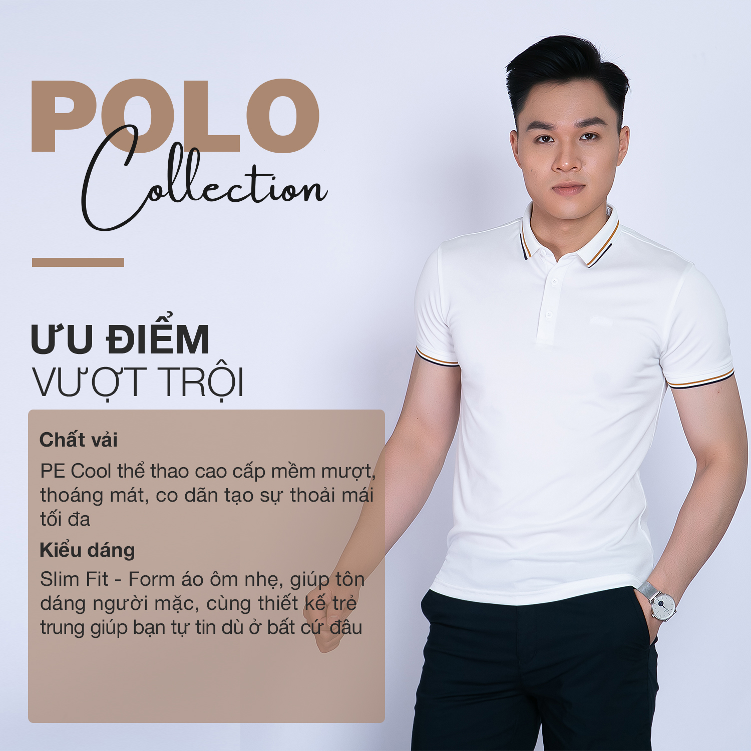 Áo POLO nam phối bo cổ vàng vải Cotton Cá Sấu, form chuẩn, sang trọng lịch sự SANTINO