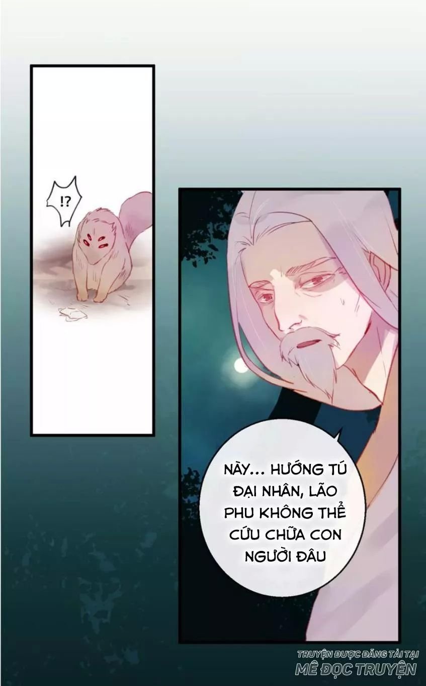 hồ minh chi hương chapter 8 31