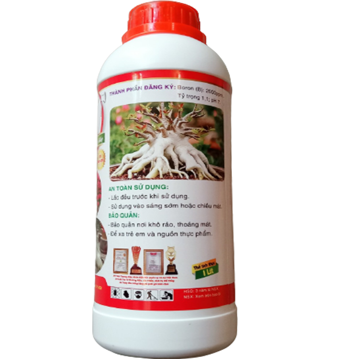 To củ Max root, chuyên dùng cho cây sứ, mai vàng và hoa giấy