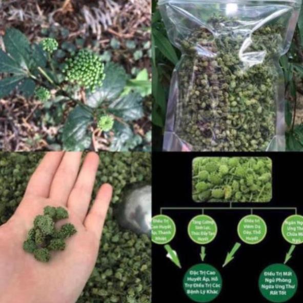 CHUẨN 1kg Hoa tam thất phơi tay sạch không chất bảo quản