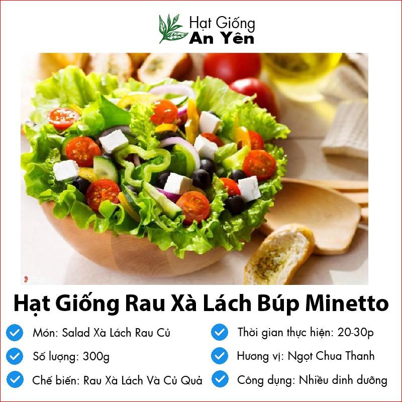 Hạt giống rau Xà Lách chịu nhiệt thu hoạch sớm, dễ trồng, nảy mầm cao, sinh trưởng khoẻ