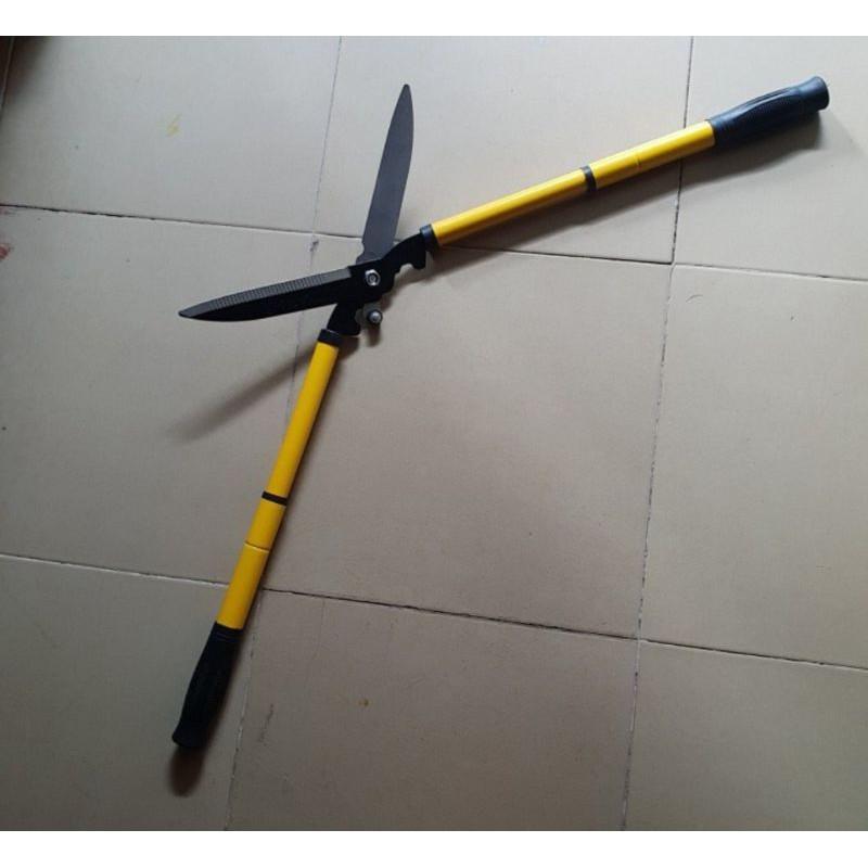 Kéo cắt tỉa cây cảnh