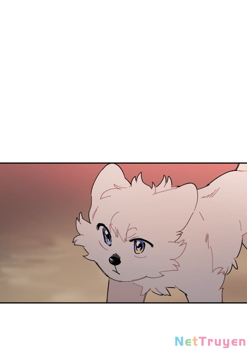 lumine - cội nguồn ánh sáng chapter 107 1