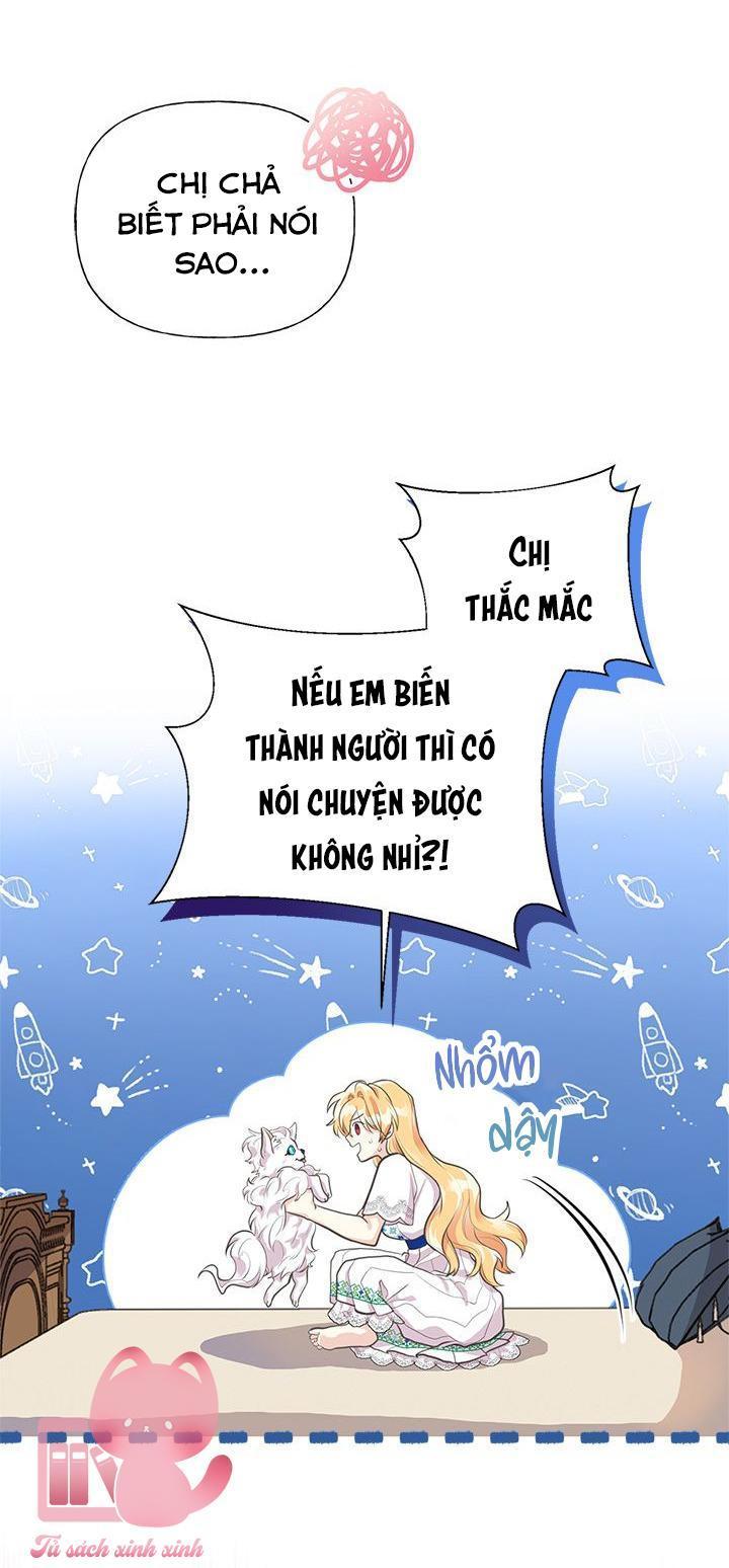 chị tôi nhặt về nam chính của tiểu thuyết chapter 64 13