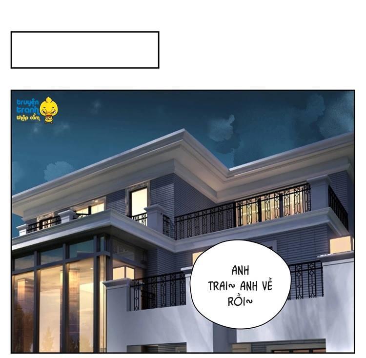 cứu mạng ! loài mèo thống trị thế giới rồi ! chapter 15 2