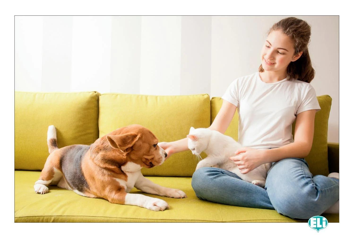 Sách ngoại văn: ELI Language Games - One Photo, A Thousand Words - Speaking English With Pictures