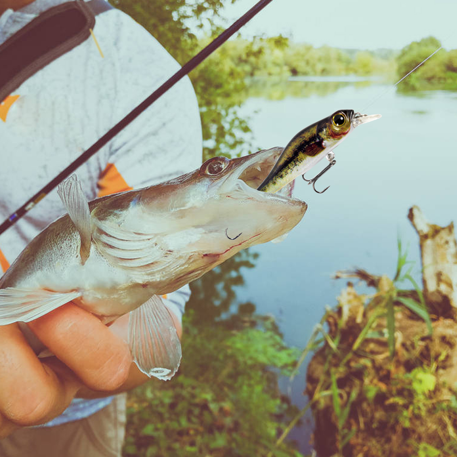 Mồi câu nhân tạo hình 3D sống động 68mm 6.9g