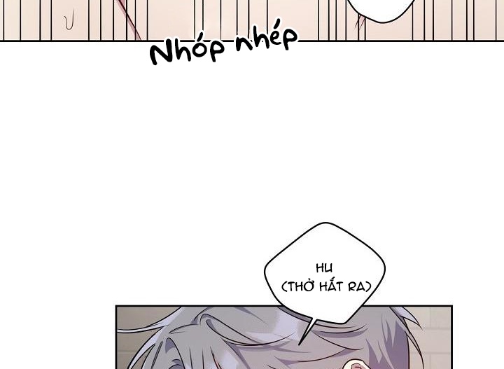 thần tượng đến rồi!? chapter 14 81