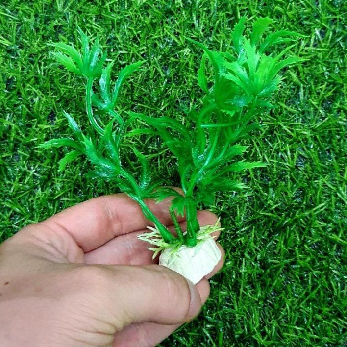 Cây nhựa trang trí bể cá - trang trí tiểu cảnh siêu đẹp bụi cao 10cm giá rẻ nhất Việt Nam