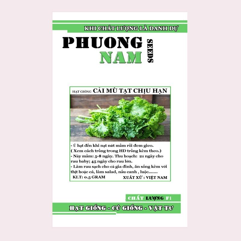 0,5GR - HẠT GIỐNG CẢI MÙ TẠT