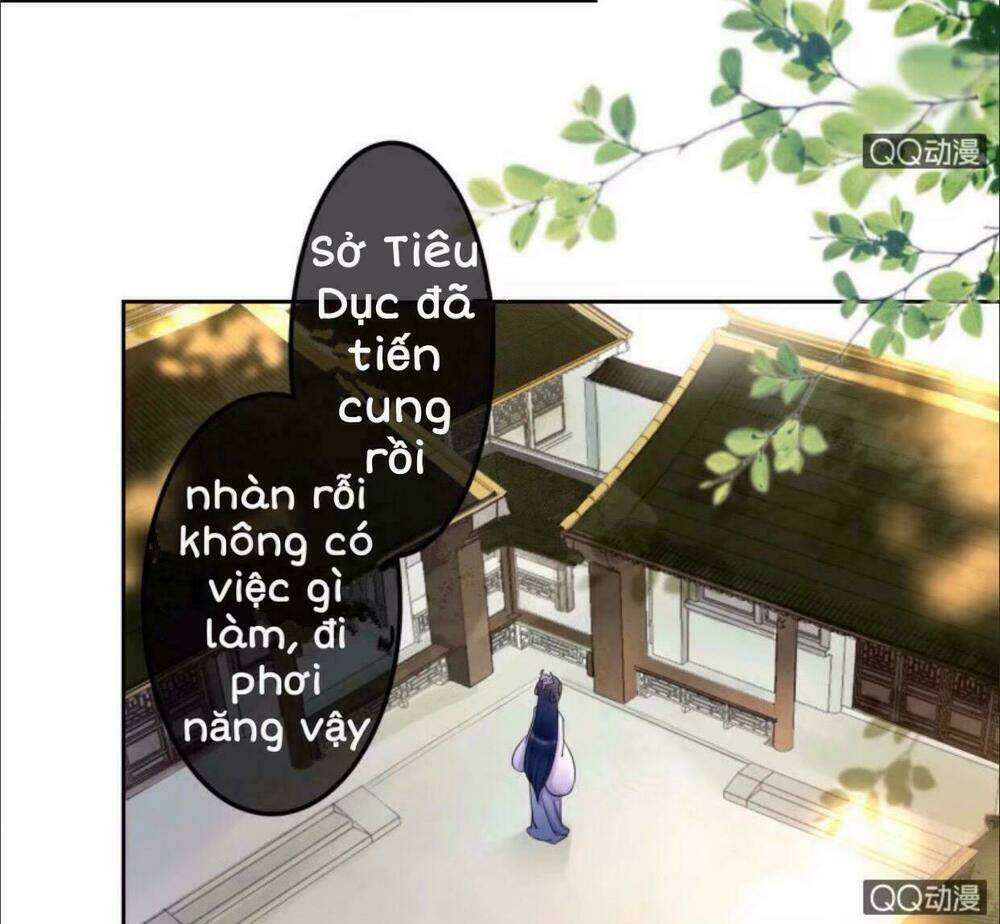 sủng phi của vương chapter 32 13